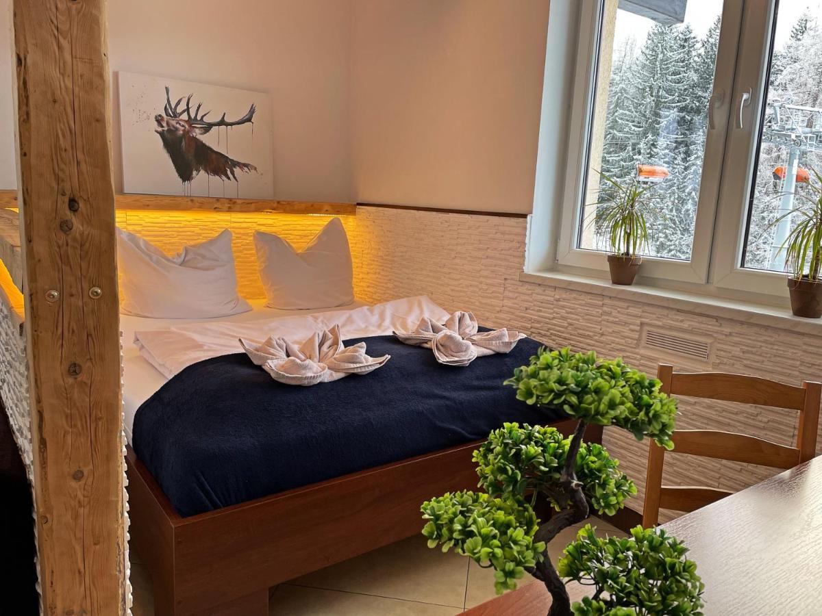 Bed and Breakfast Safir Przy Samym Wyciagu Карпач Экстерьер фото