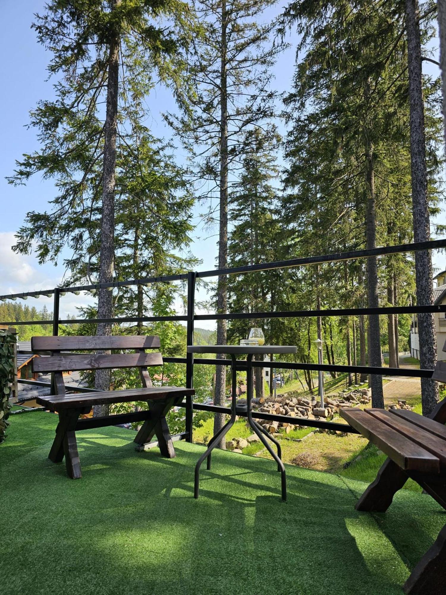 Bed and Breakfast Safir Przy Samym Wyciagu Карпач Экстерьер фото