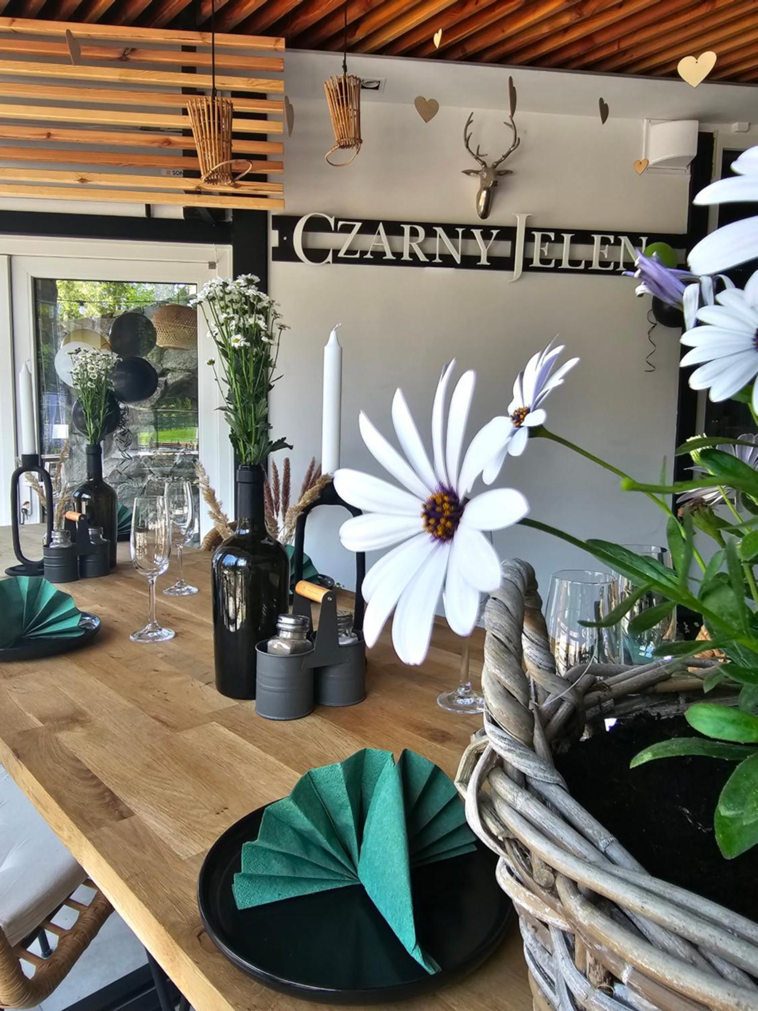 Bed and Breakfast Safir Przy Samym Wyciagu Карпач Экстерьер фото