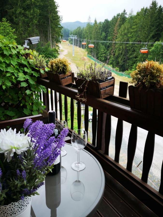 Bed and Breakfast Safir Przy Samym Wyciagu Карпач Экстерьер фото