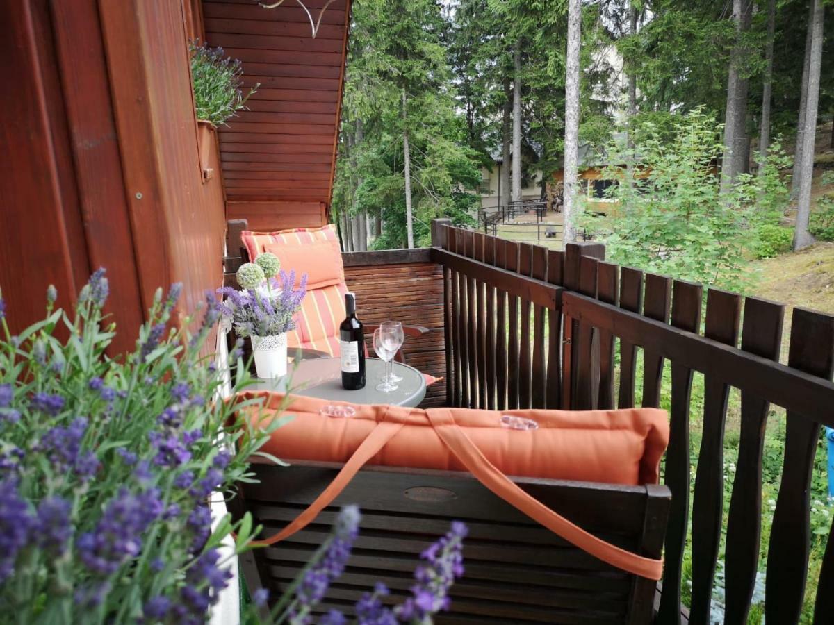 Bed and Breakfast Safir Przy Samym Wyciagu Карпач Экстерьер фото