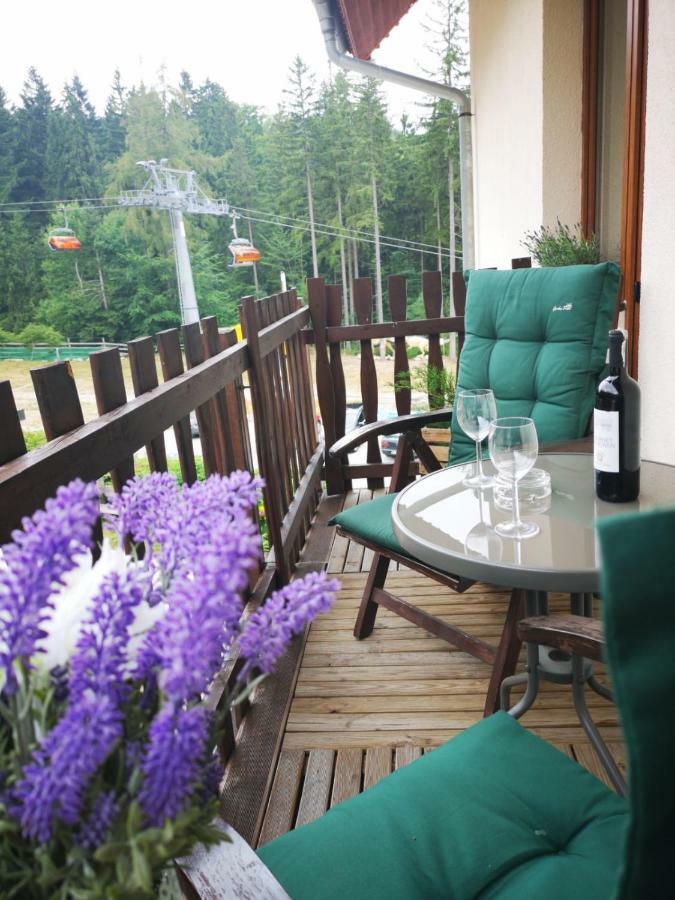 Bed and Breakfast Safir Przy Samym Wyciagu Карпач Экстерьер фото