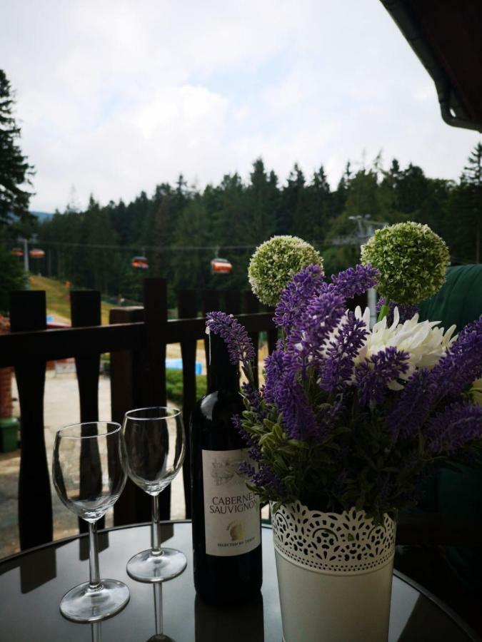 Bed and Breakfast Safir Przy Samym Wyciagu Карпач Экстерьер фото